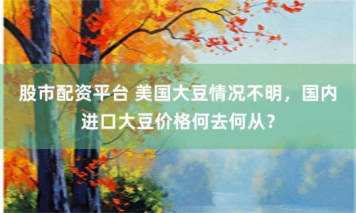 股市配资平台 美国大豆情况不明，国内进口大豆价格何去何从？