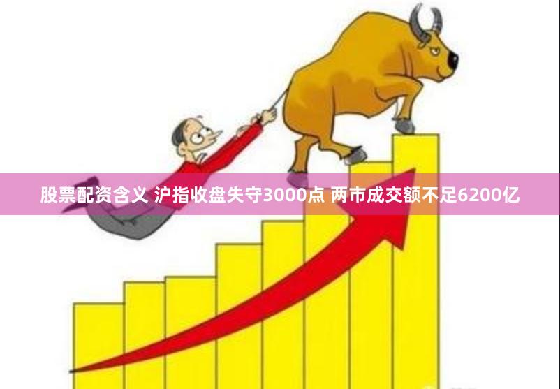 股票配资含义 沪指收盘失守3000点 两市成交额不足6200亿