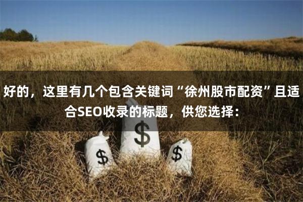 好的，这里有几个包含关键词“徐州股市配资”且适合SEO收录的标题，供您选择：